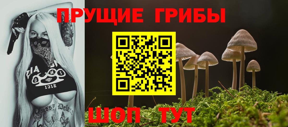 Псилоцибиновые грибы Magic Shrooms Великие Луки